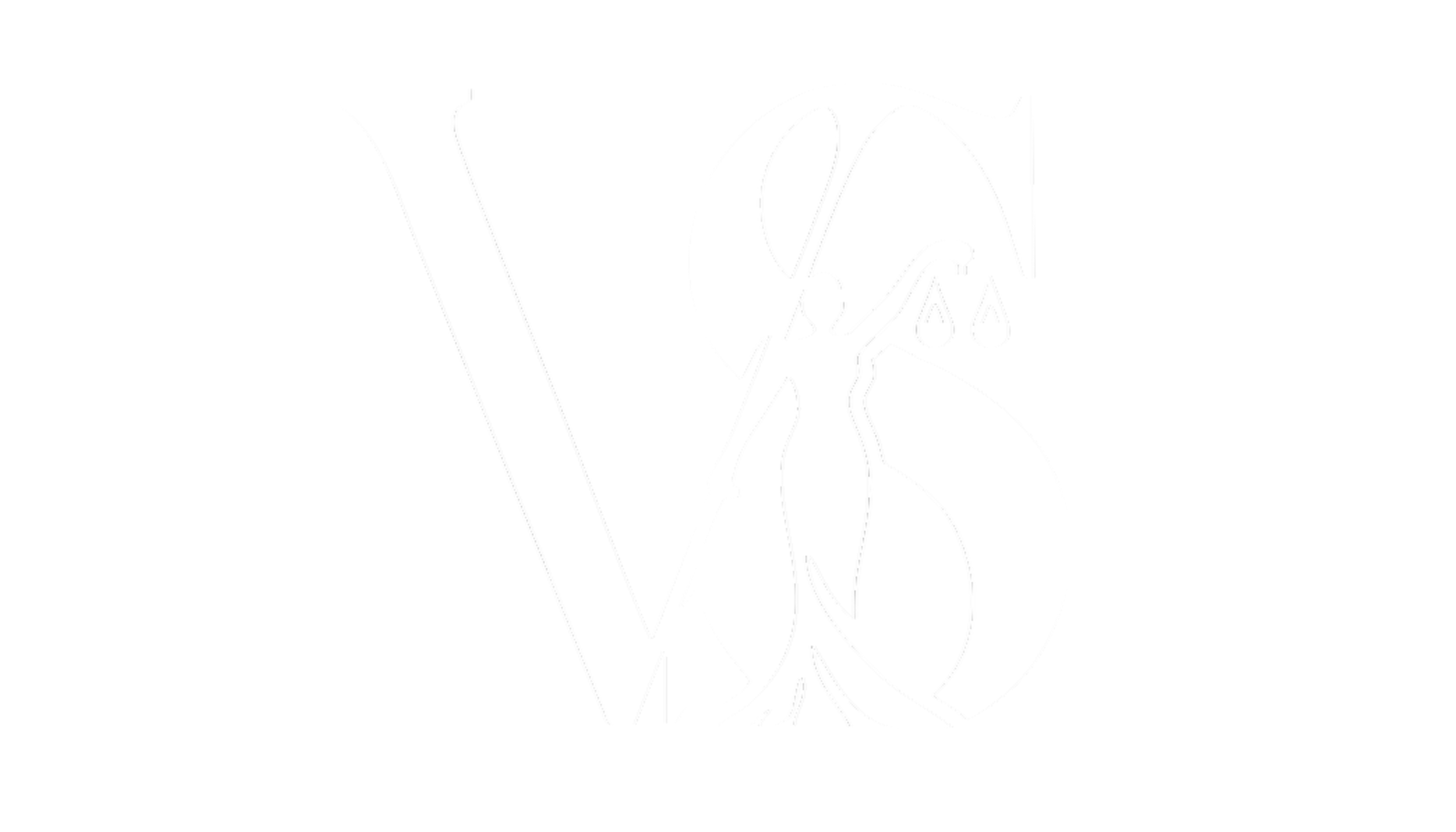 logo de website